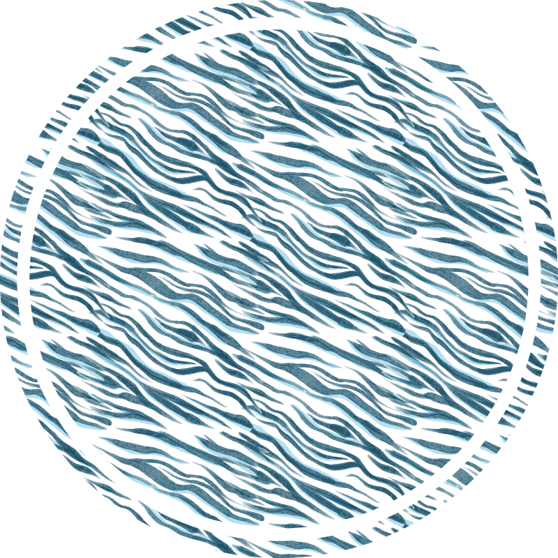 Snygg zebravåg Vinylmatta djurtryck - Tenstickers