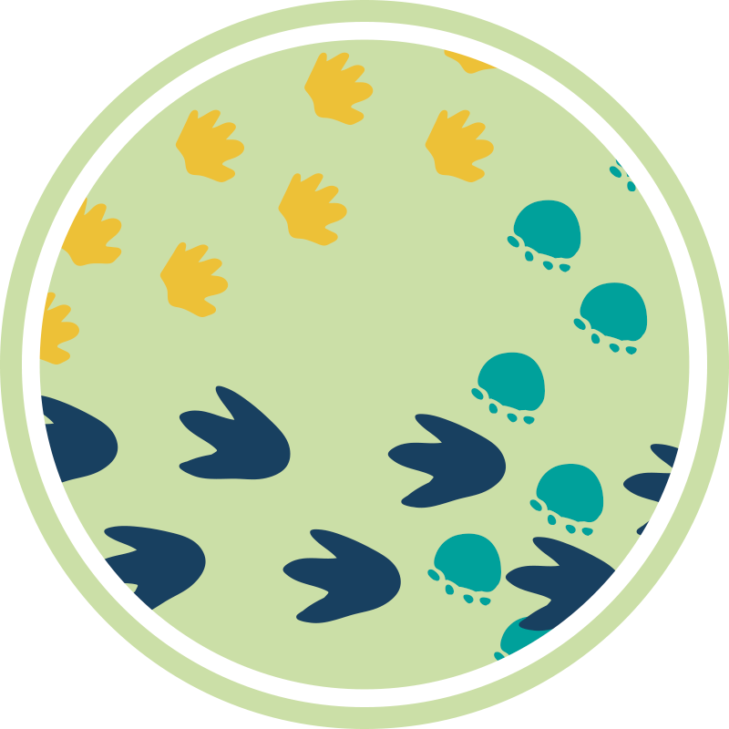 Dinosaurie fotavtryck design Andra Vinylmattor - Tenstickers