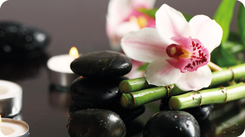 Orkidé lugn Vinylmatta natur - Tenstickers