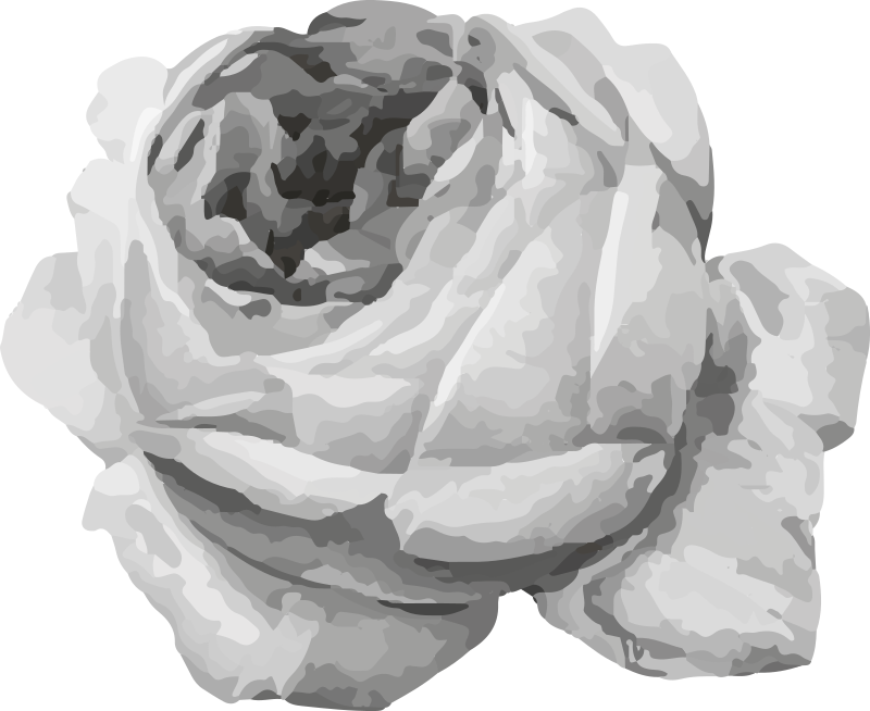 Rosblomma Vinylmatta blommor och växter - Tenstickers