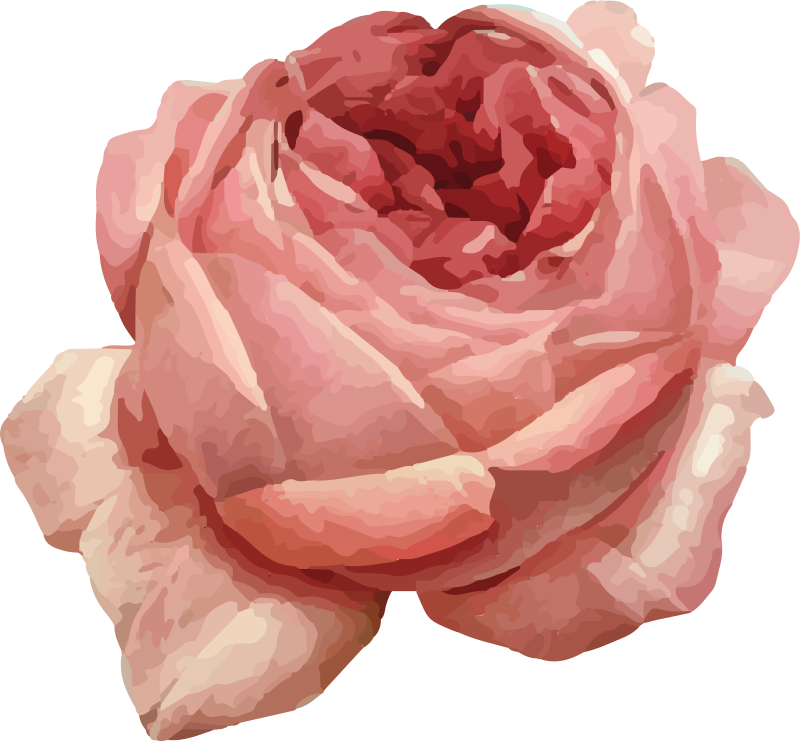 Frodig rosa blomning Vinylmatta blommor och växter - Tenstickers