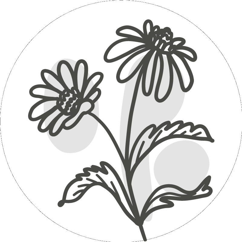 Grupp daisy linje konst design blommig matta - Tenstickers
