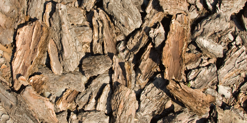 Brun rustik matta för trädbarktextur - Tenstickers