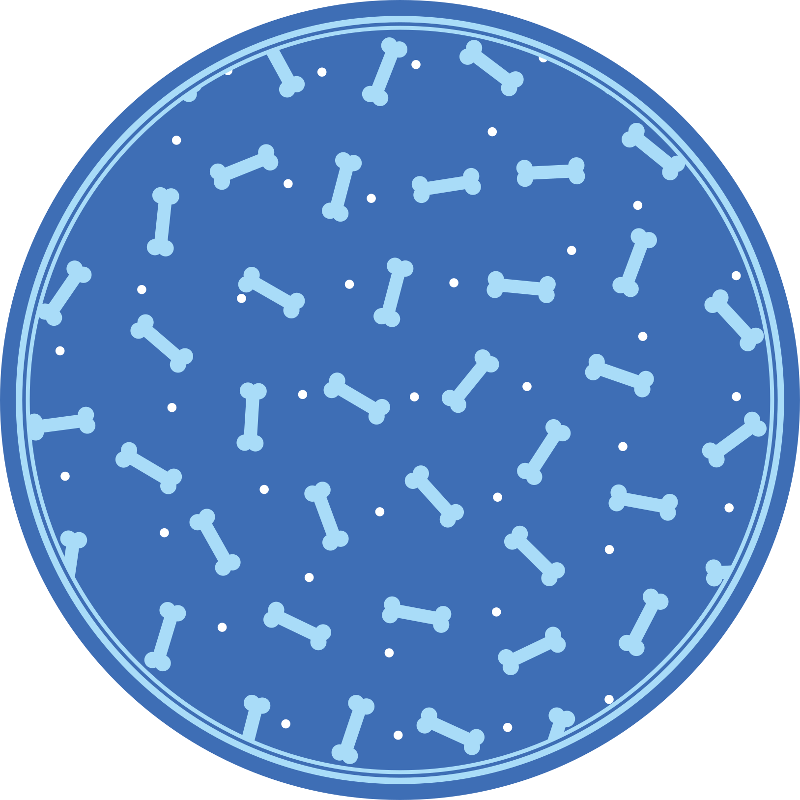 Benmönsterlek Vinylmatta Cirkulär - Tenstickers