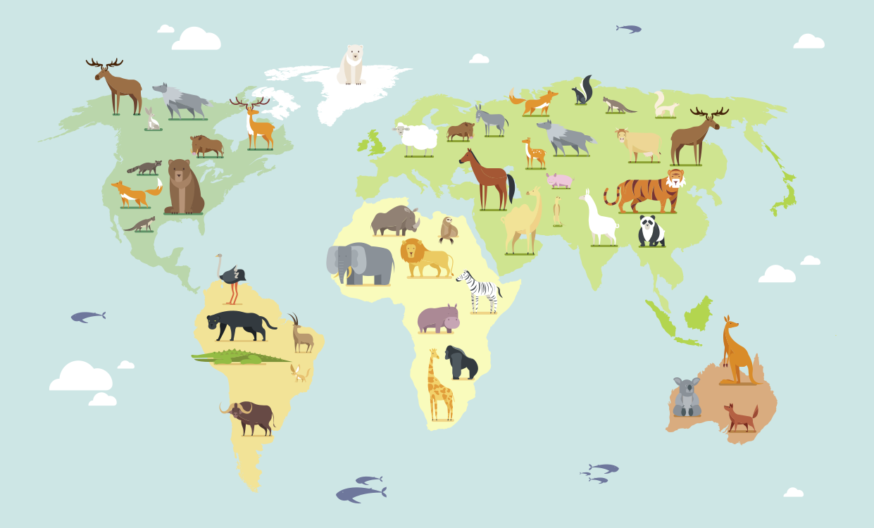 Barnslig stil Vinylmatta Världskarta - Tenstickers