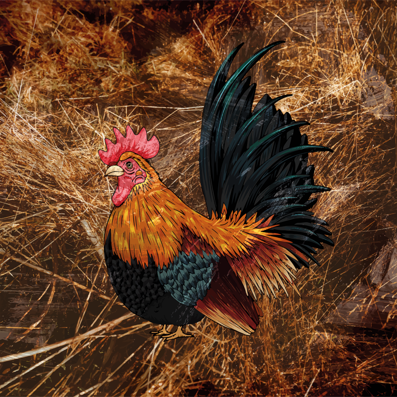 Vinylmatta djurtryck färgstark tuppavbildning - Tenstickers