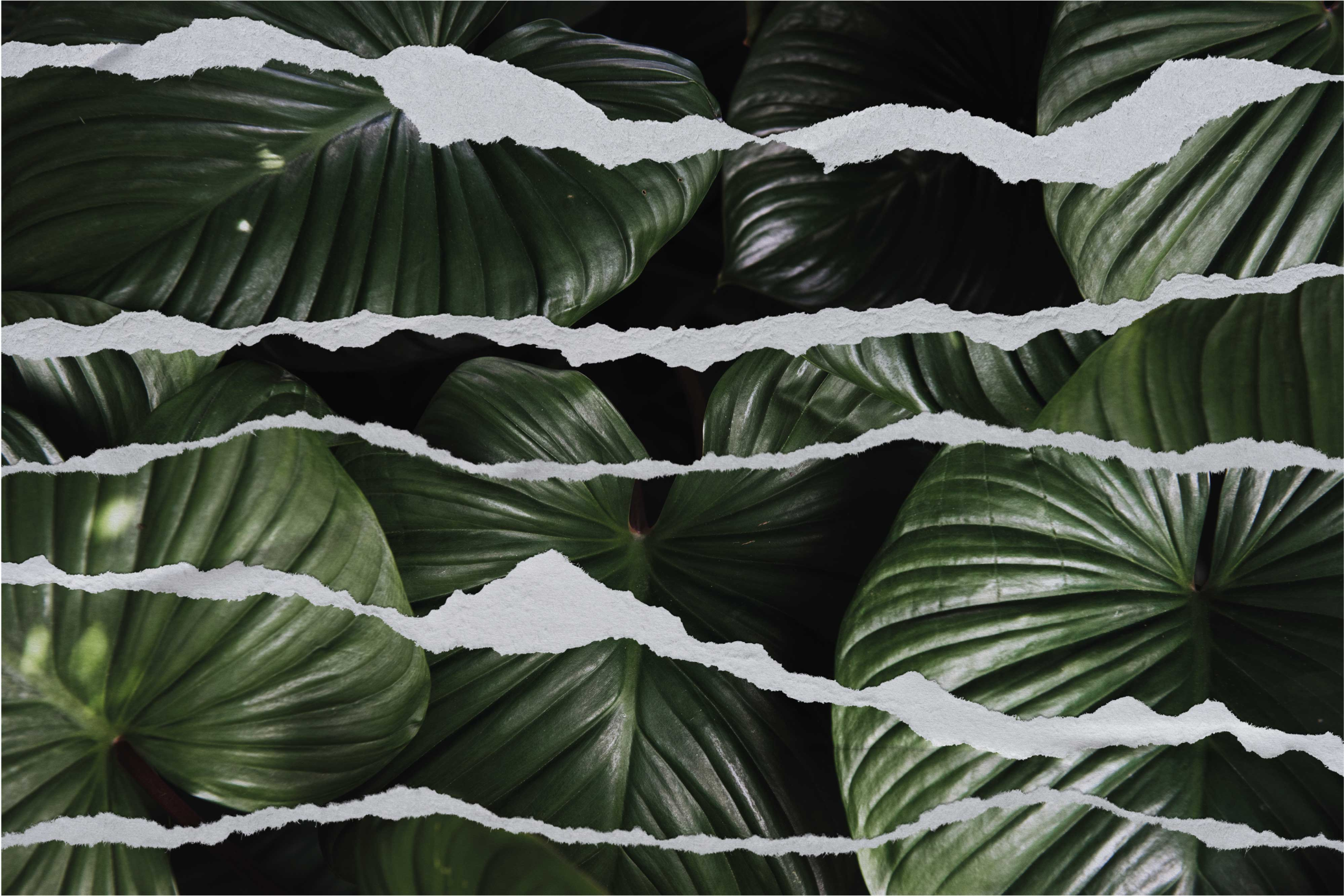 Trasiga lövmönster Vinylmatta natur - Tenstickers