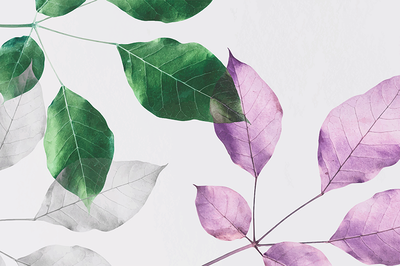 Lövrika botaniska tryck Vinylmatta blommor och växter - Tenstickers