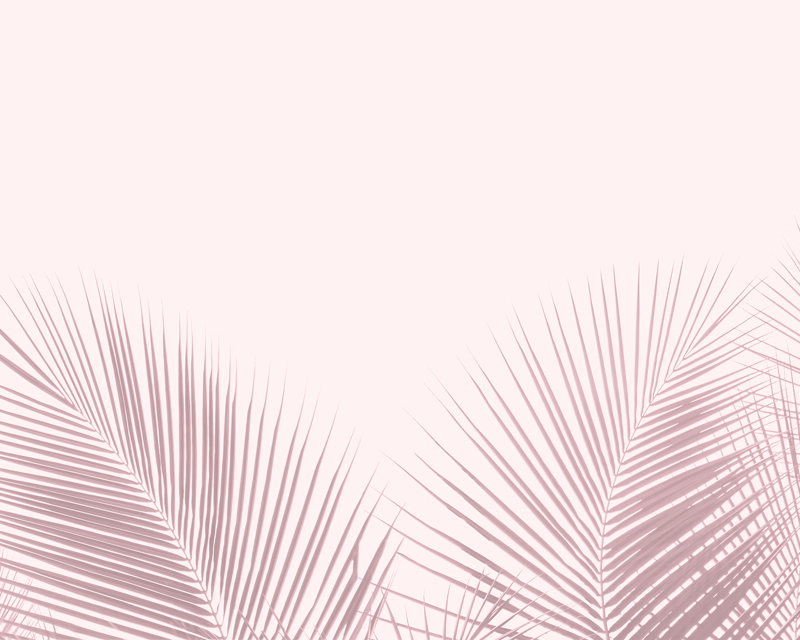 Eleganta palmbilder Vinylmatta blommor och växter - Tenstickers