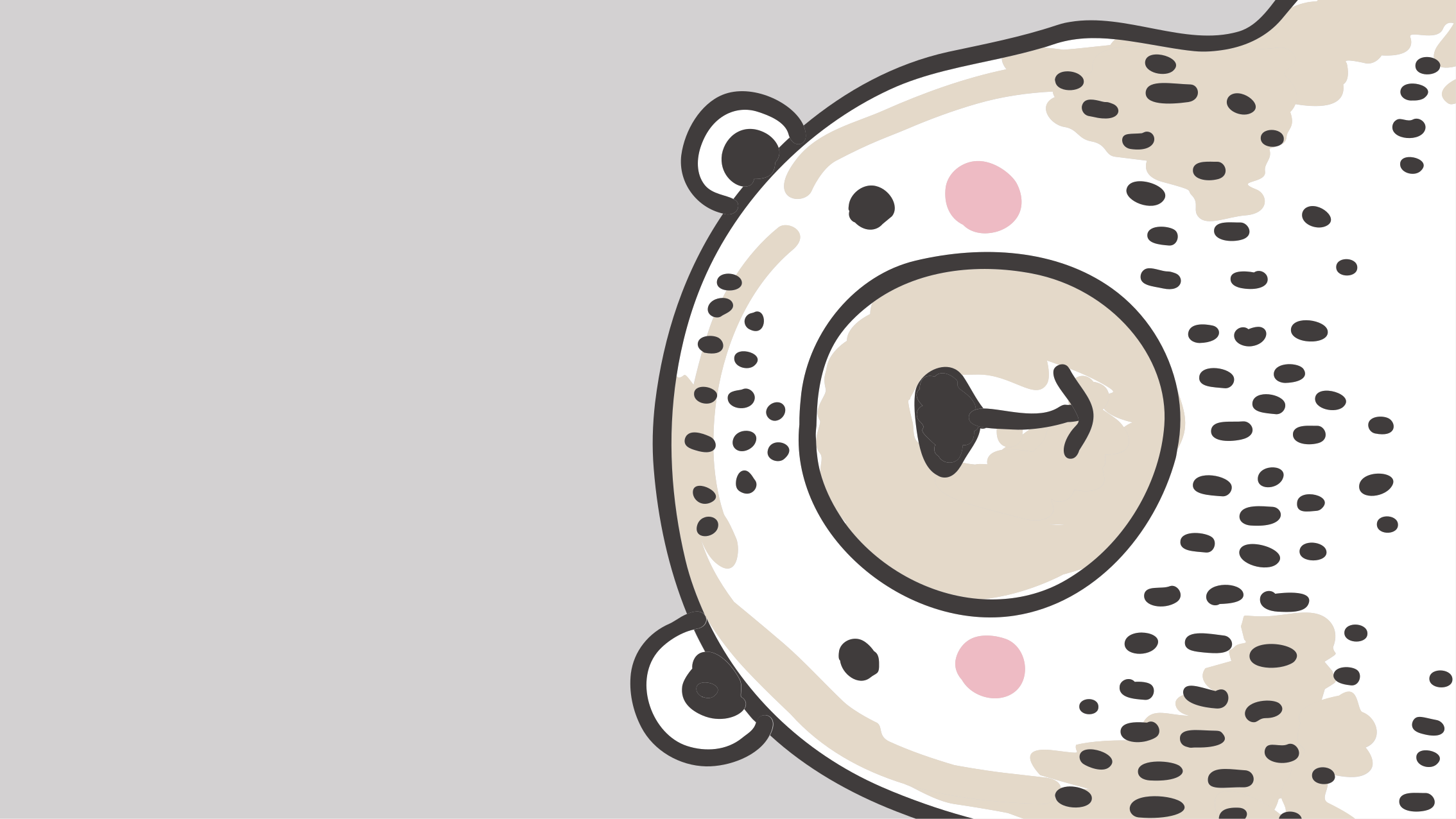 Björnens ansiktsform Vinylmatta daghem - Tenstickers