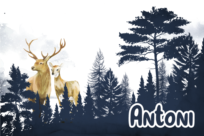 Skog fauna siluett Vinylmatta namn - Tenstickers