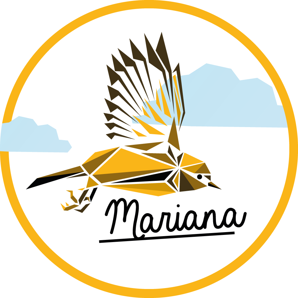 Personlig fågel Vinylmatta namn - Tenstickers