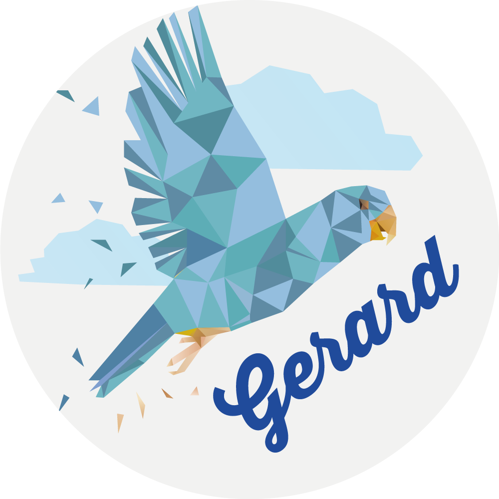 Skräddarsydd geometrisk örn Vinylmatta namn - Tenstickers