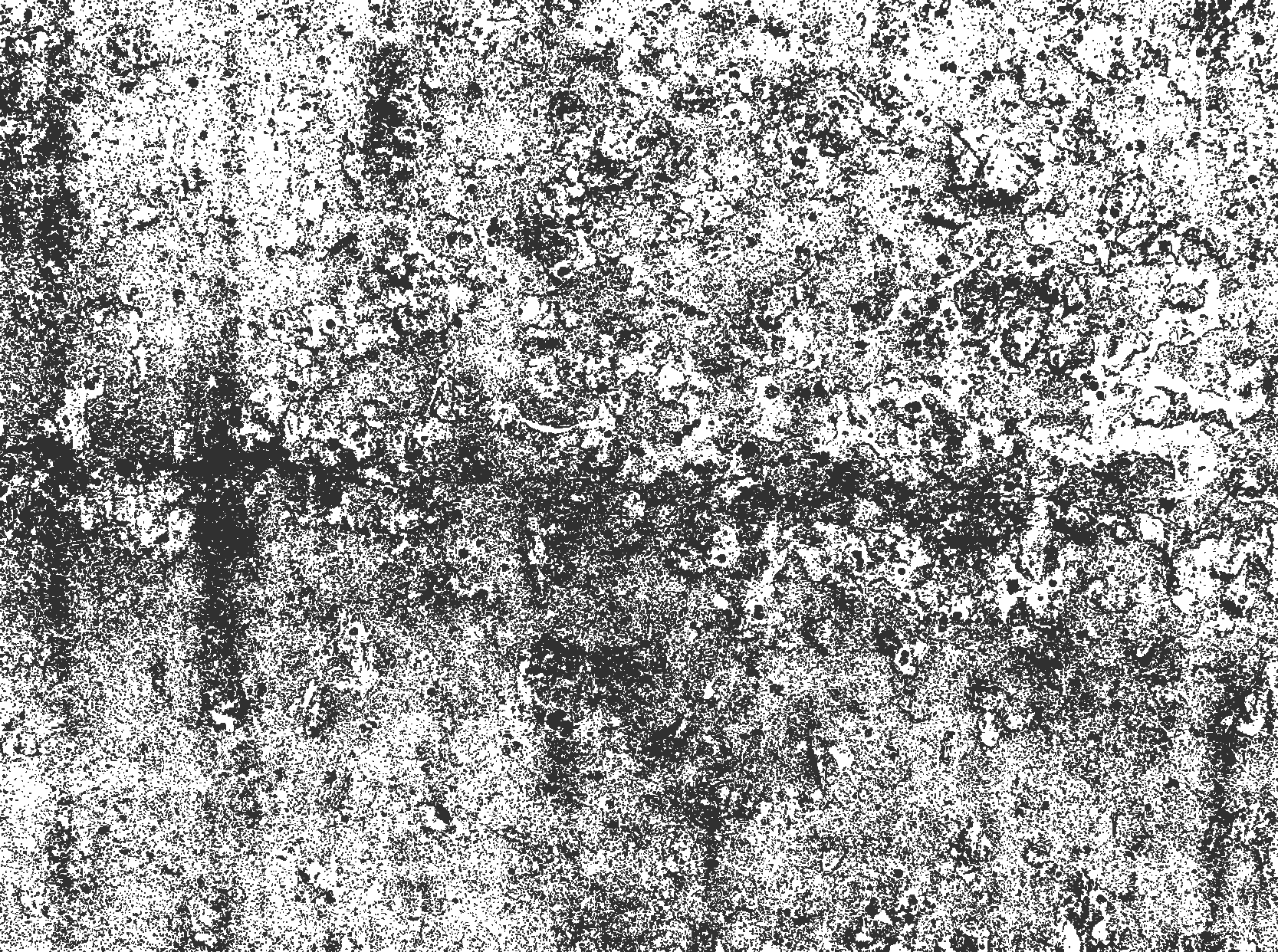 Blekt grått Vinylmatta Matsal - Tenstickers