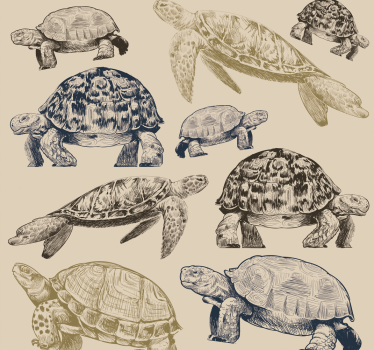 Sköldpaddor beige bakgrund sovrum tapet - Tenstickers
