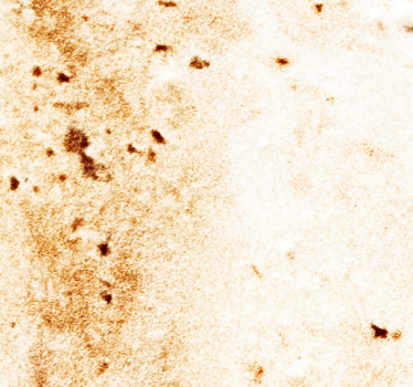 Mjuk marmor textur marmor effekt tapet - Tenstickers