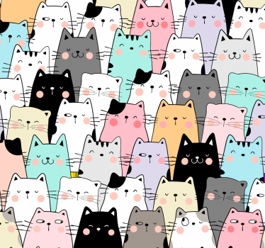 Katter coola djur tapeter - Tenstickers