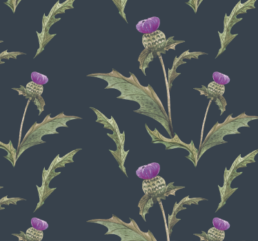 Skotsk tistel tapet blommor - Tenstickers